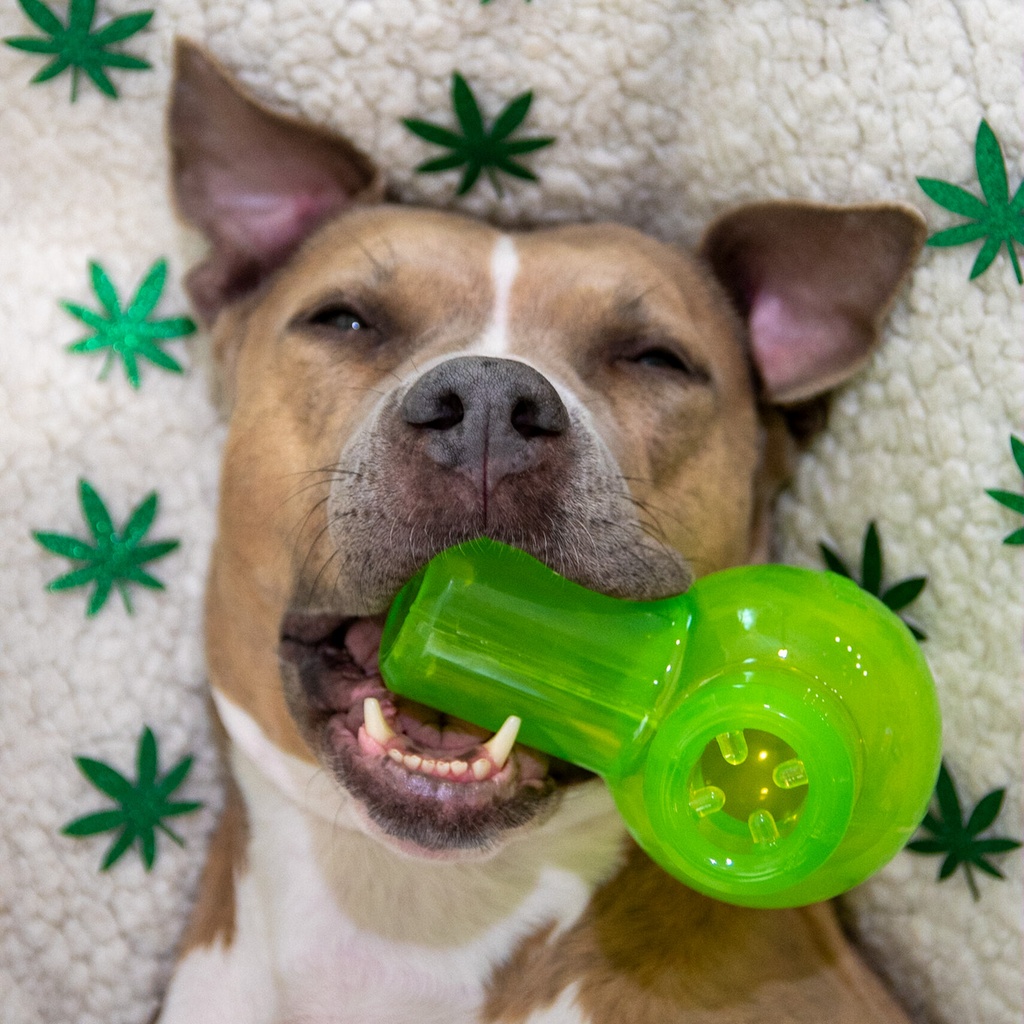 Snack Packed Bong Super Chewer Durable Enrichment Dog Toy