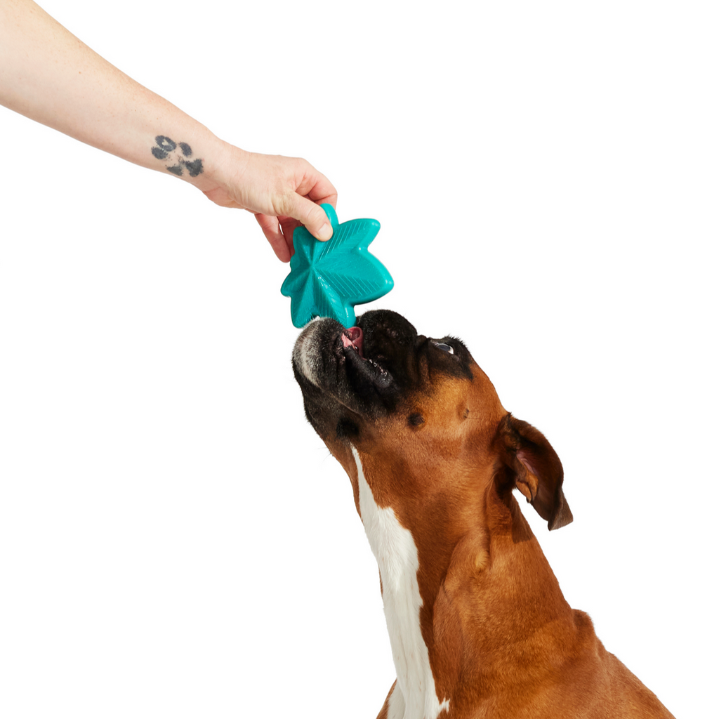 Mighty Juana Super Chewer Durable Gnaw Dog Toy