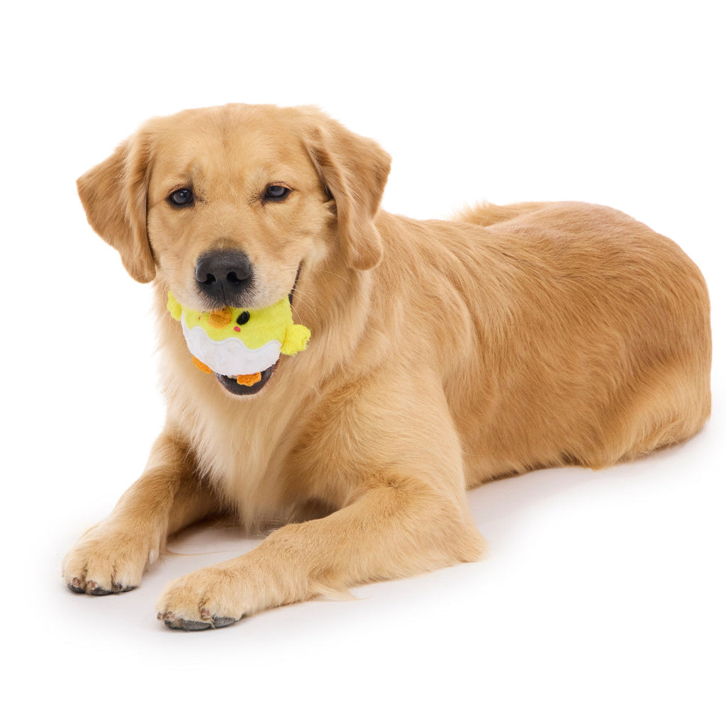 Chuck the Chick Durable Super Chewer 2-in-1 Rip and Reveal + Fetch Dog Toy