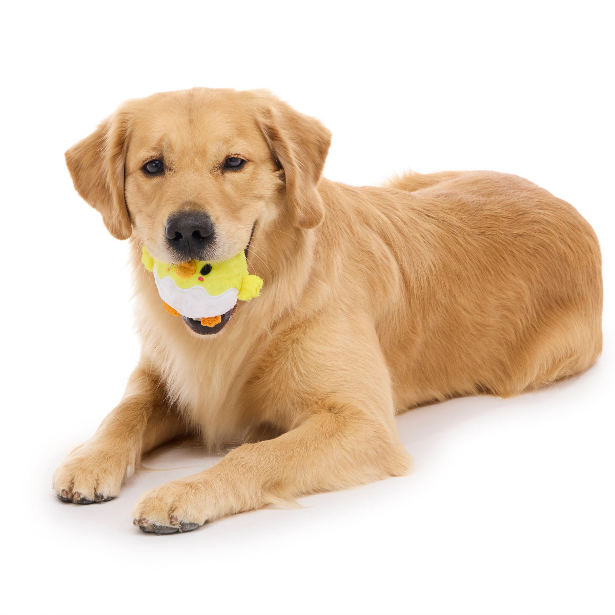 Chuck the Chick Durable Super Chewer 2-in-1 Rip and Reveal + Fetch Dog Toy