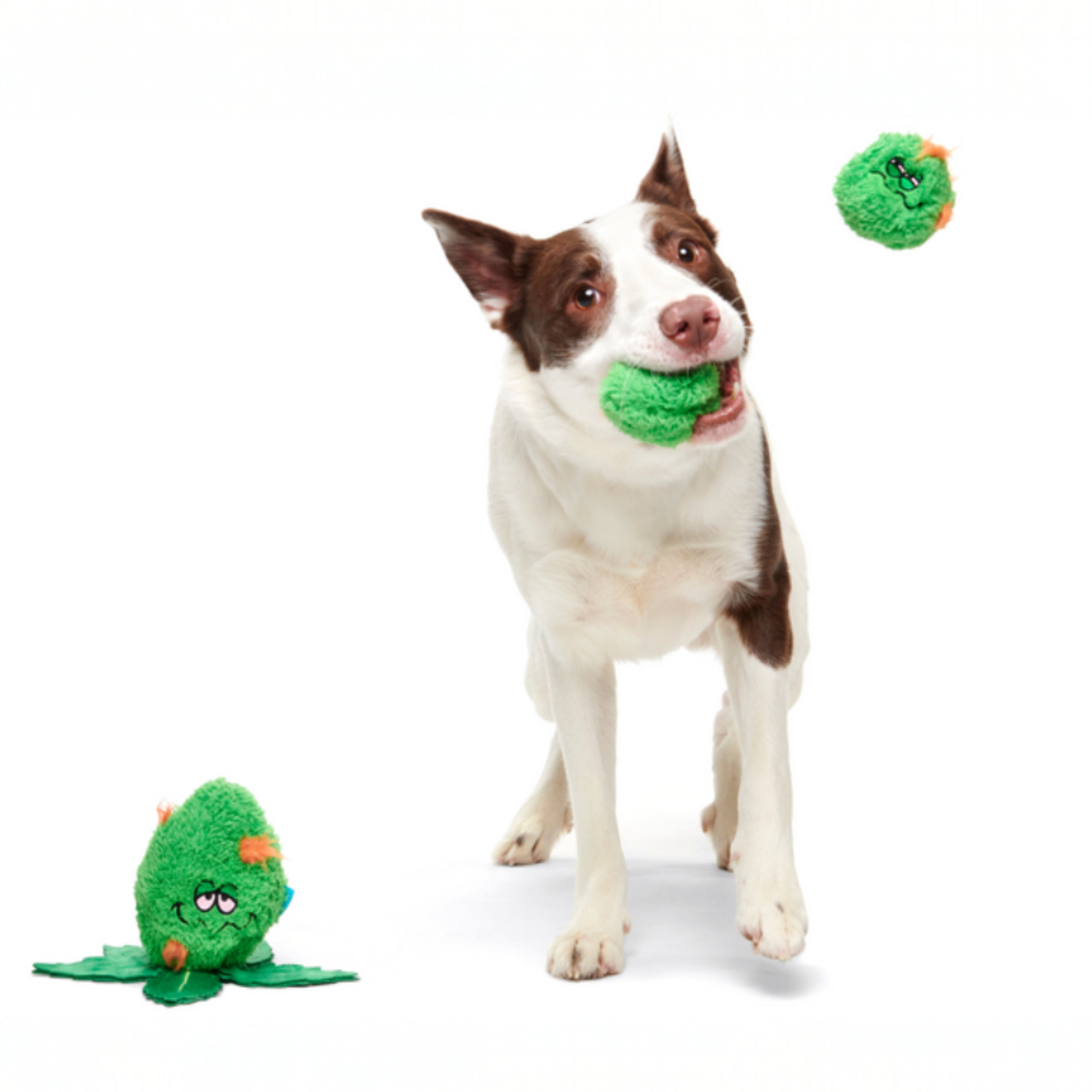 Rip Von Dankle Plush 2-in-1 Rip and Reveal Dog Toy