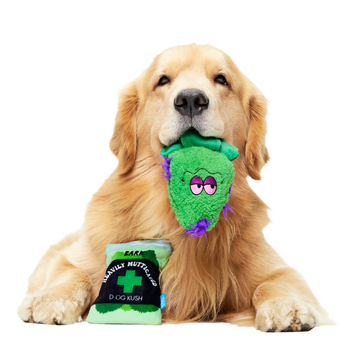 (D)OG Kush Nugs Plush Enrichment + Multi-Part + Fetch Dog Toy