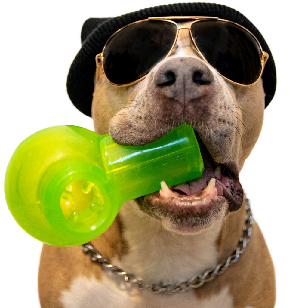Snack Packed Bong Super Chewer Durable Enrichment Dog Toy