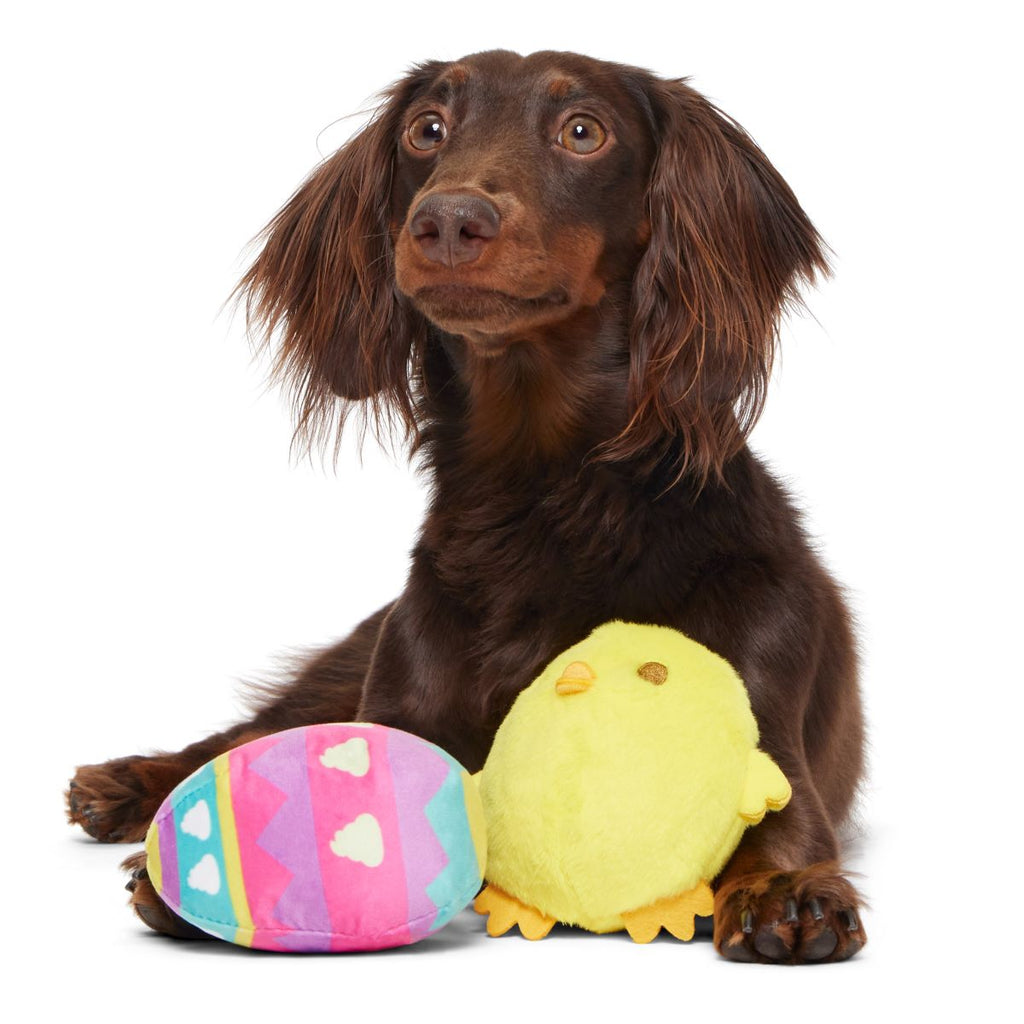 Chickie Poo Plush Multi-Part + Fetch Dog Toy
