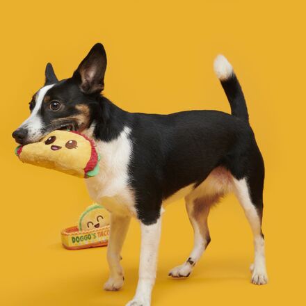 Doggo's Tacos Plush Multi-Part Dog Toy