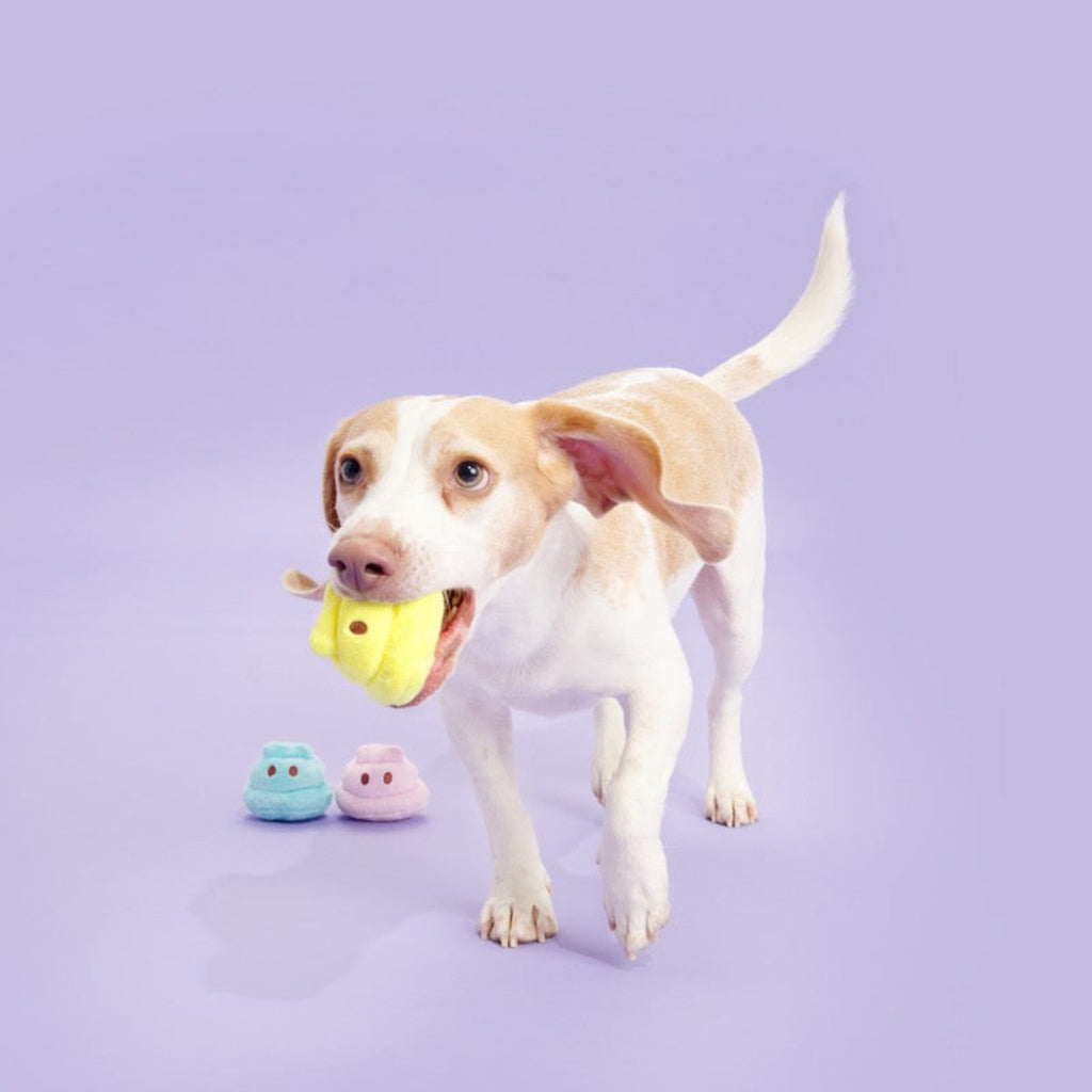 Marshmallow Poops Plush Multi-Part + Fetch Dog Toy