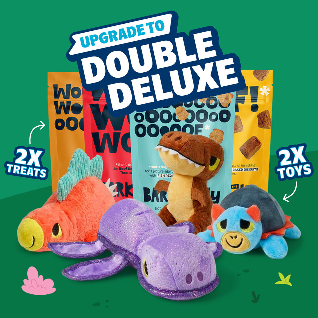 BarkBox Double Deluxe Upgrade