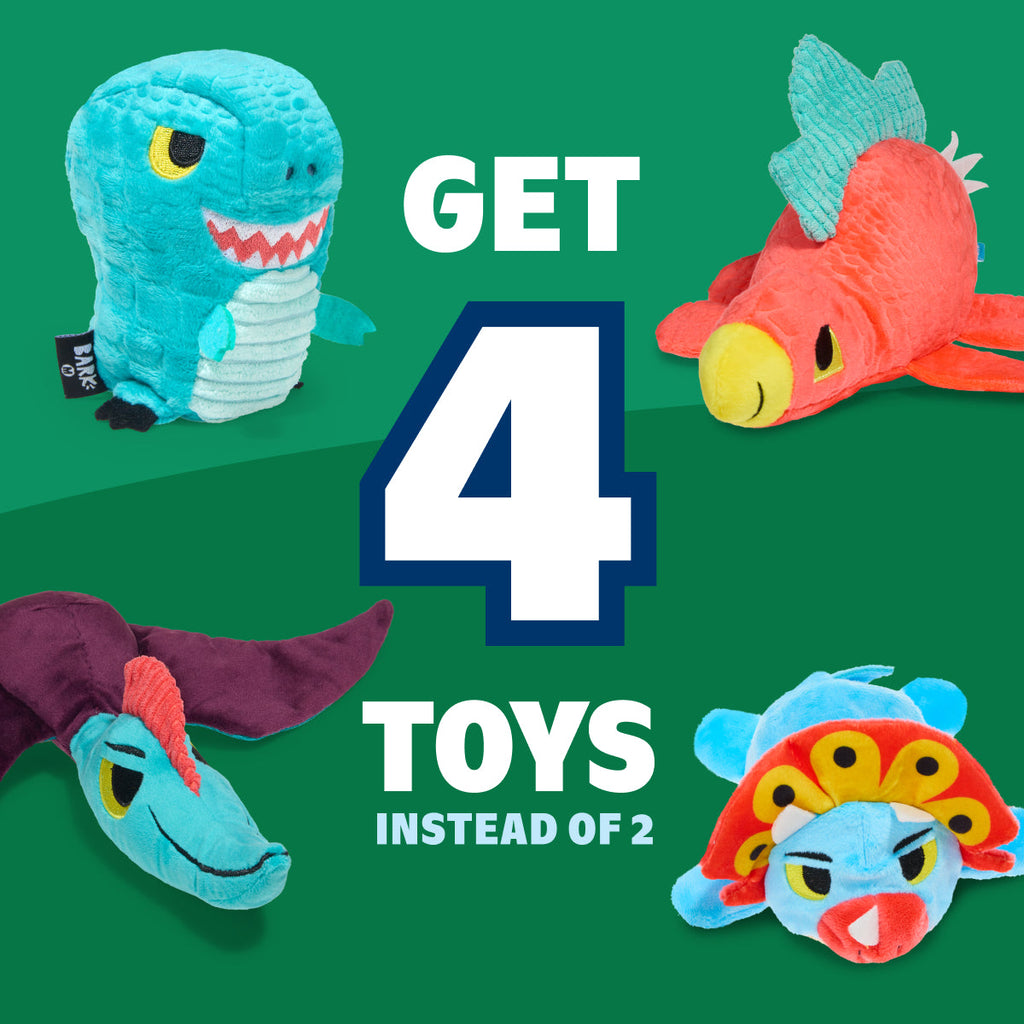 Combo Double Deluxe Upgrade