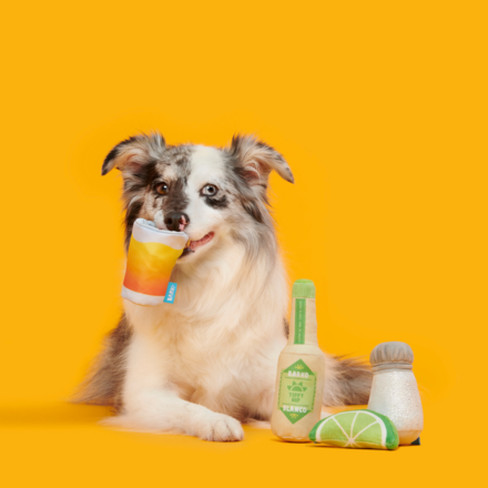 One Tugquila Chew Tugquila Plush Multi-Part Dog Toy