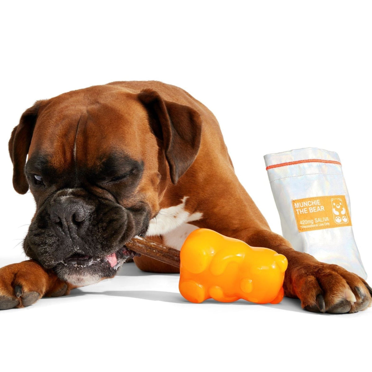 Munchie the Bear Super Chewer Durable Multi-Part + Enrichment Dog Toy