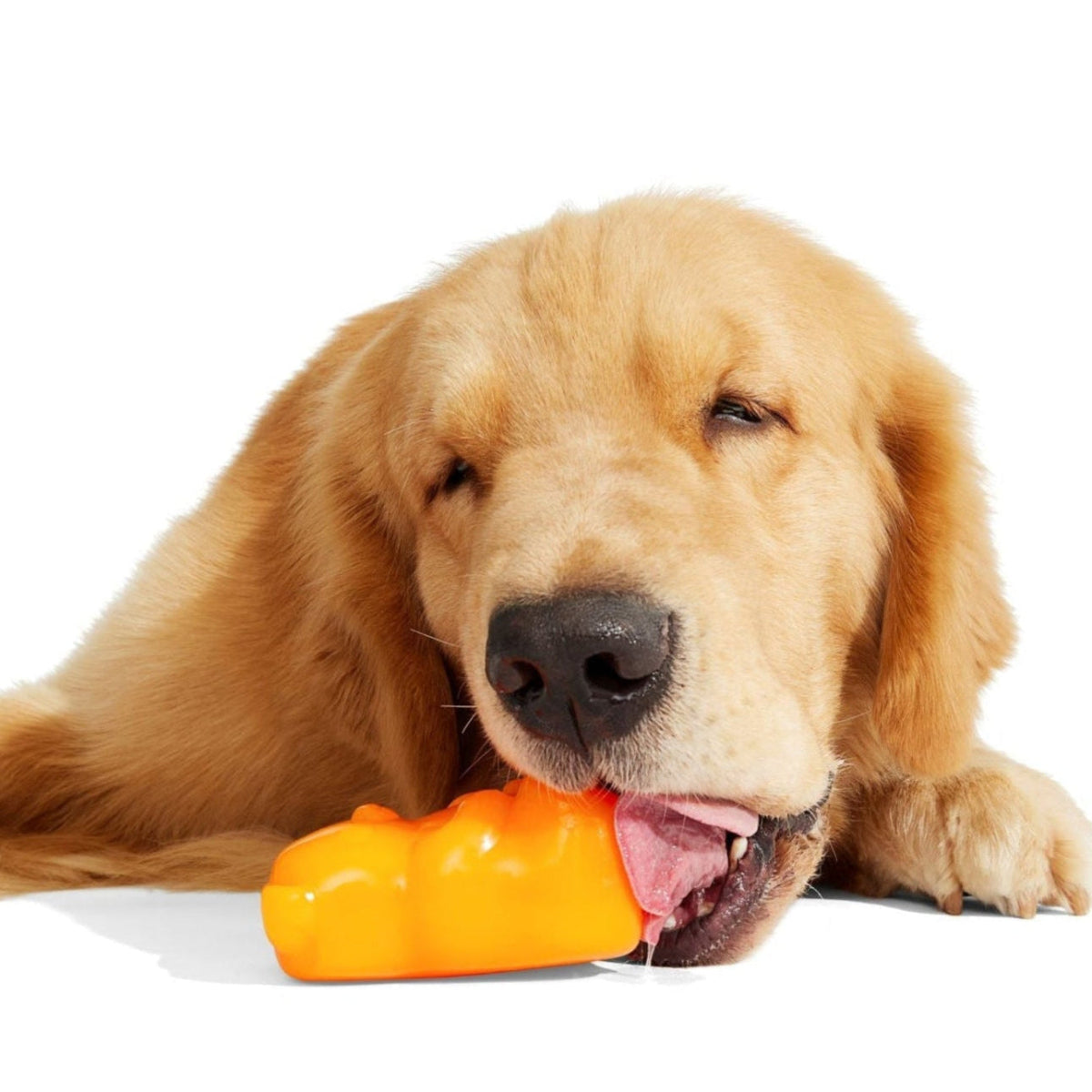 Munchie the Bear Super Chewer Durable Multi-Part + Enrichment Dog Toy