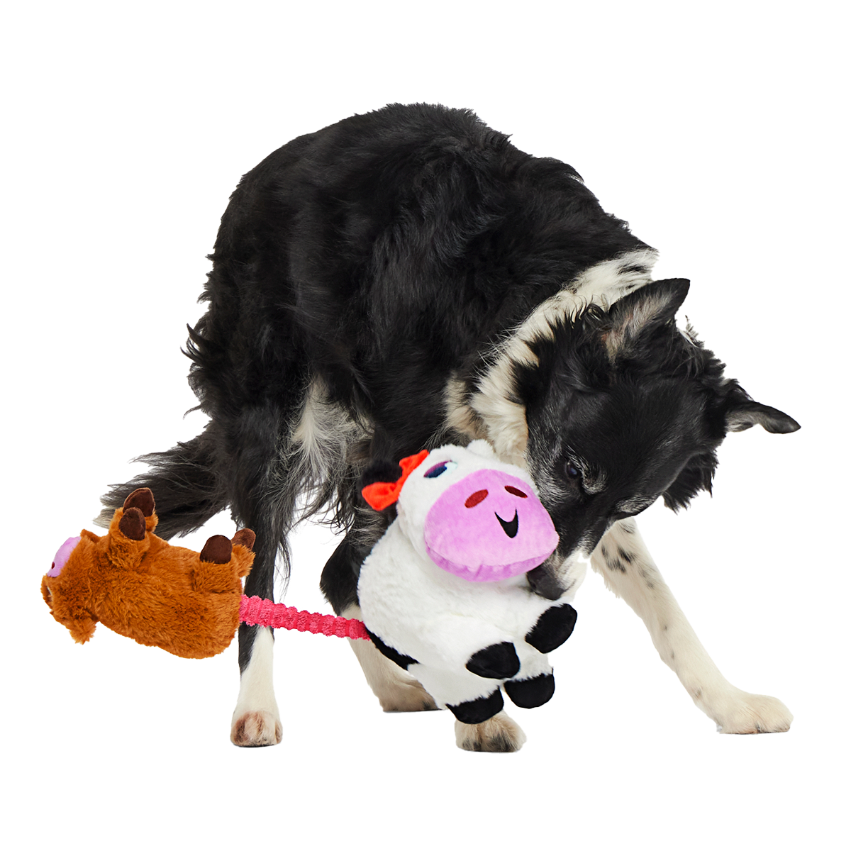 Bertha the Cow Plush Tug + Extra-Large Dog Toy