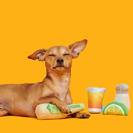 One Tugquila Chew Tugquila Plush Multi-Part Dog Toy