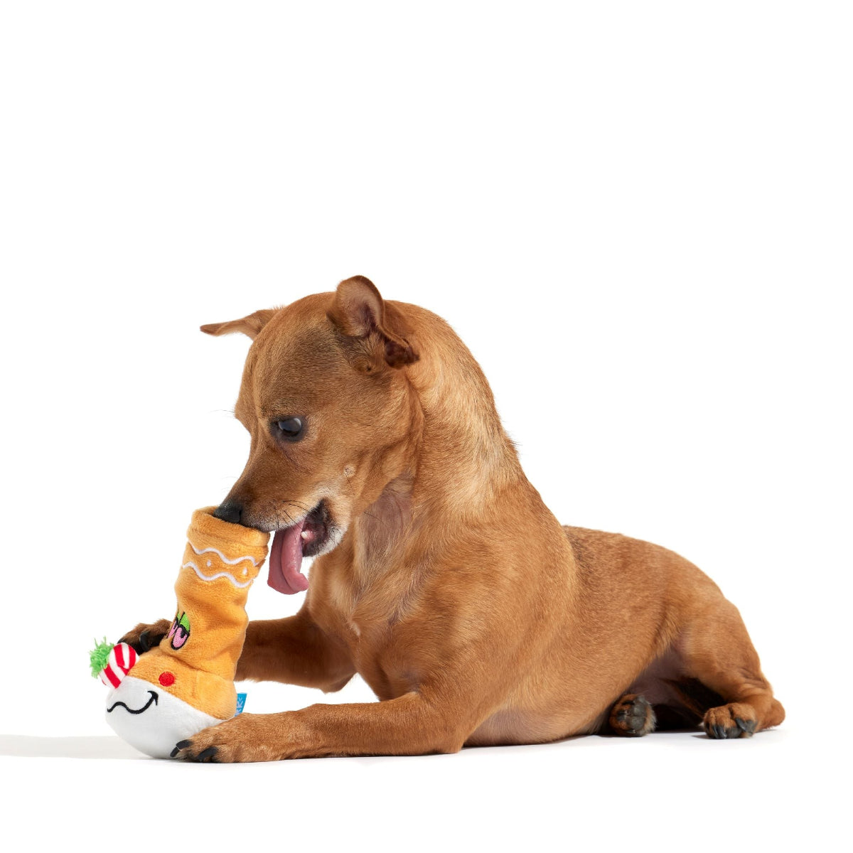 Gingerbong Plush Enrichment Dog Toy