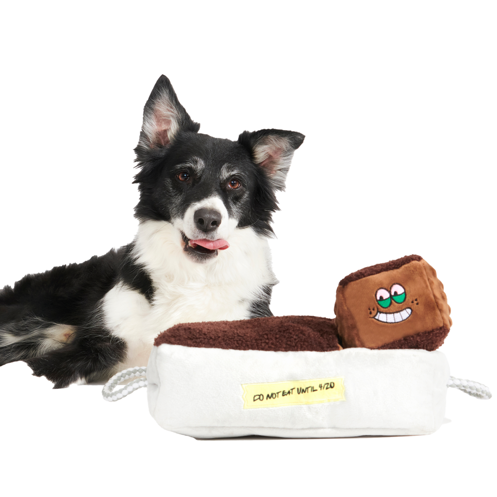 Cosmutt Brownies Plush Multi-Part + Enrichment  Dog Toy