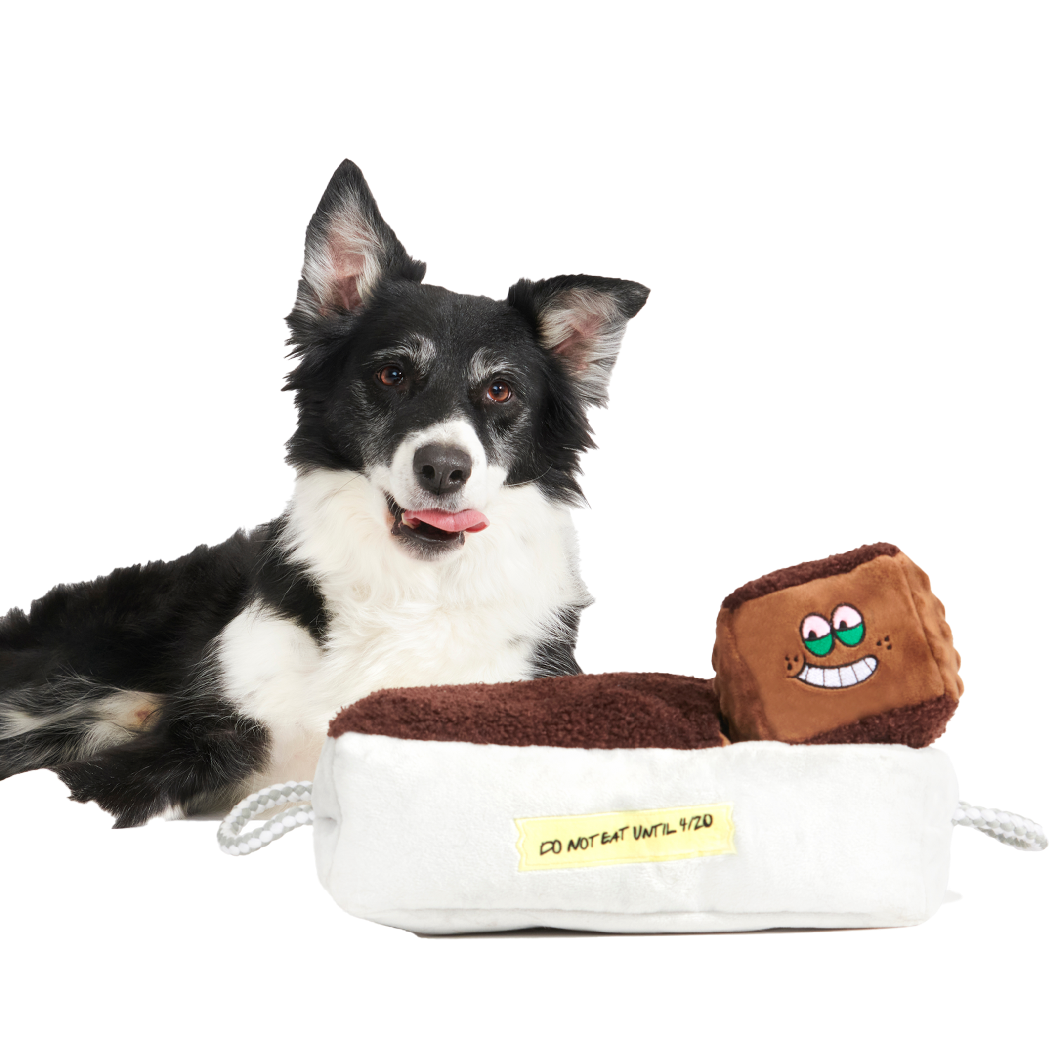 Cosmutt Brownies Plush Multi-Part + Enrichment  Dog Toy