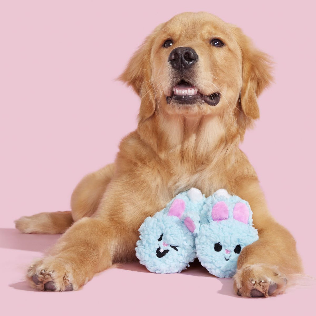 Yippy & Skippy Slippies Plush Multi-Part Dog Toy