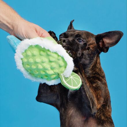 Muy Squeaky Margarita Plush Tug Dog Toy