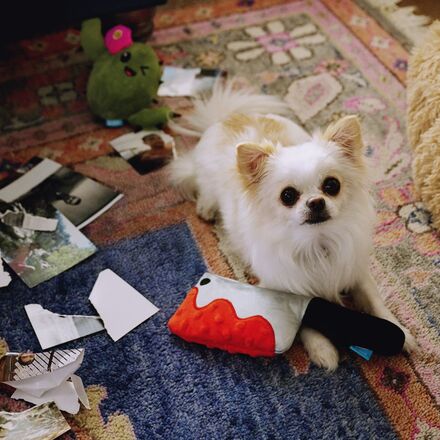 Squeakopath Knife Plush Tug Dog Toy