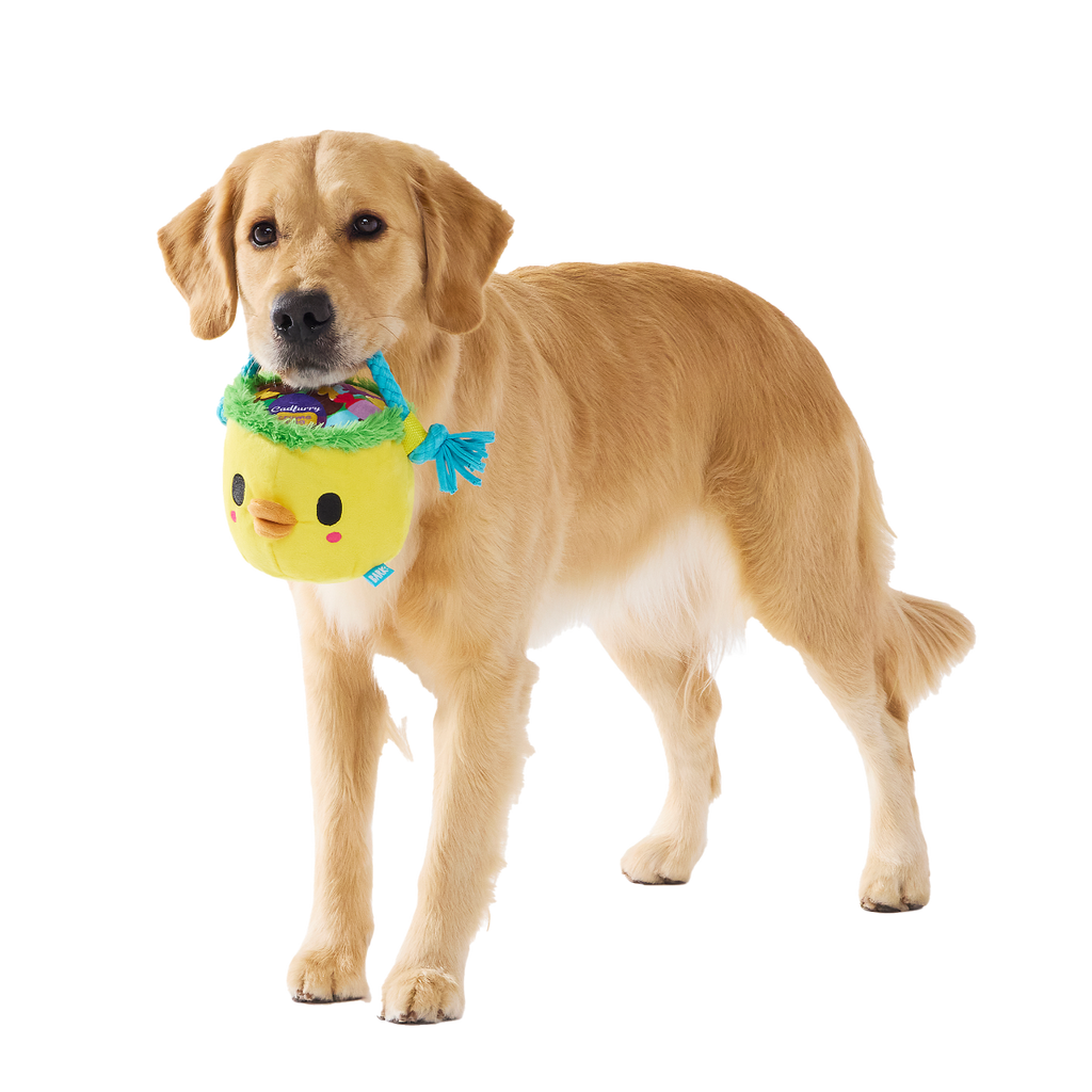 Chicky's Easter Candy Plush Tug Dog Toy