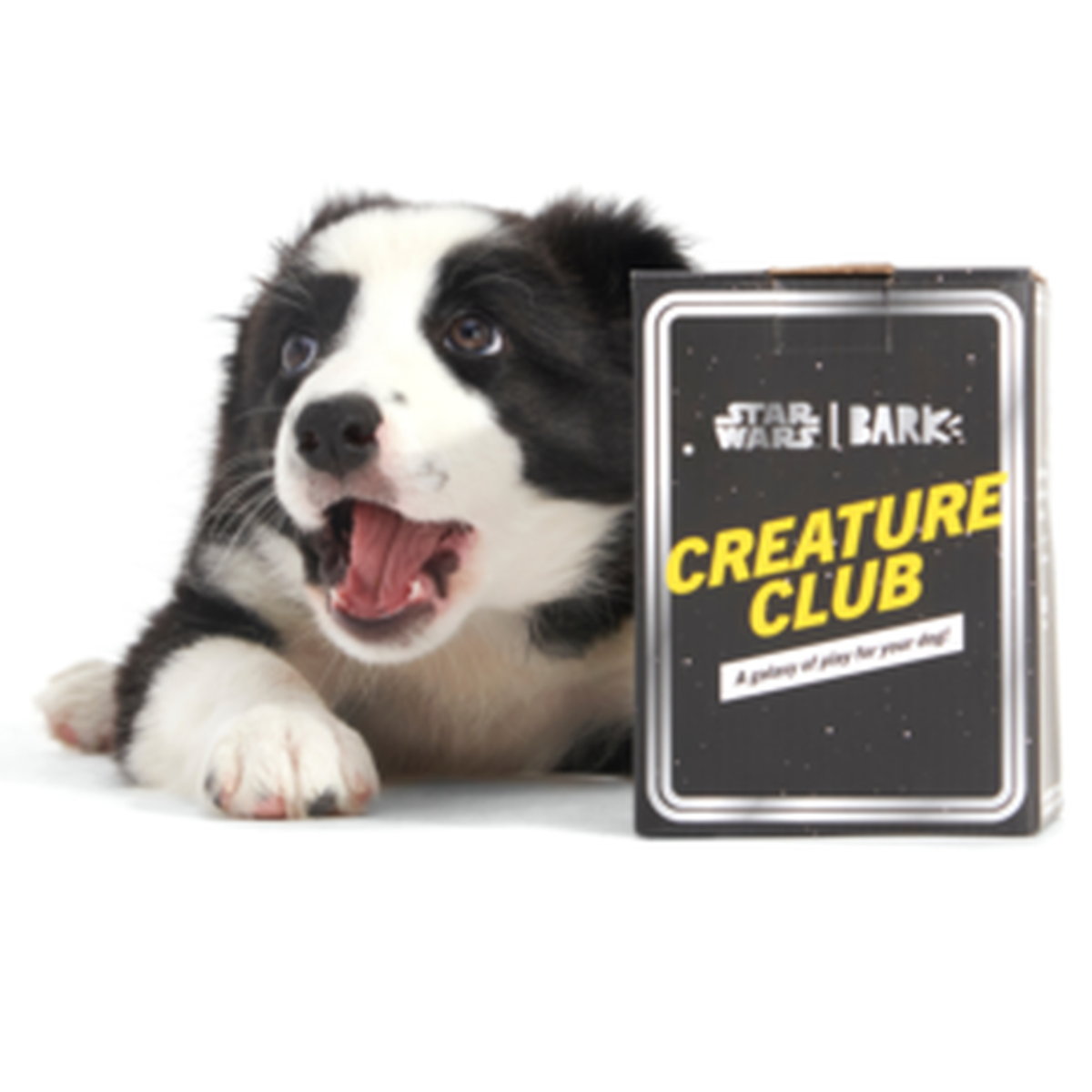 Star Wars™ Creature Club, Plush Monthly Dog Toys