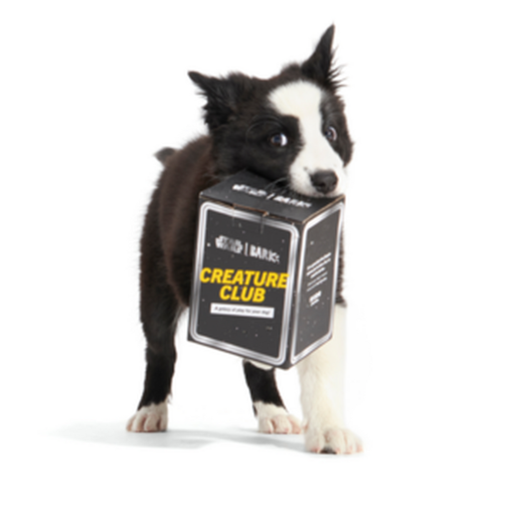 Star Wars™ Creature Club, Plush Monthly Dog Toys