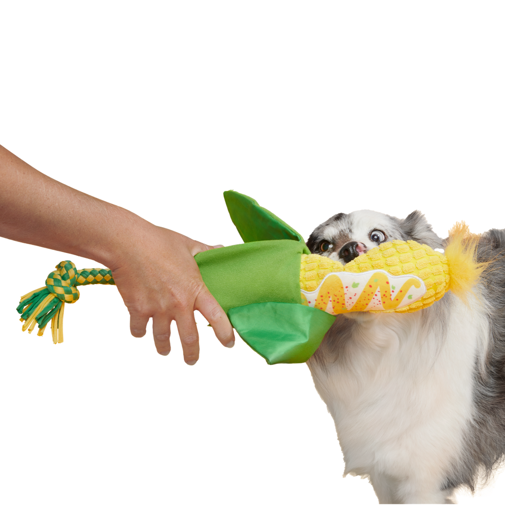 Elote Fun Corn Plush Tug Dog Toy