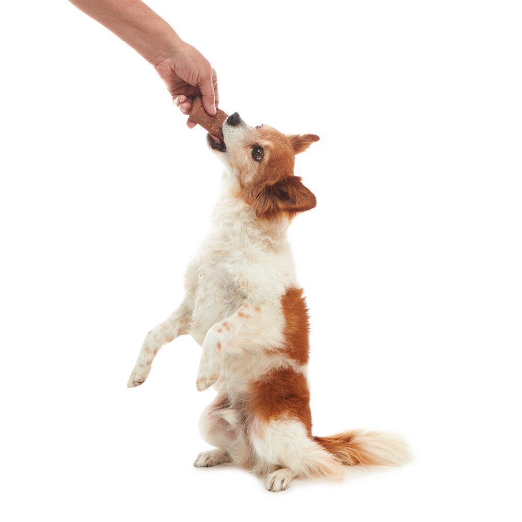 Cosmutt Brownie Crunchy Dog Cookie