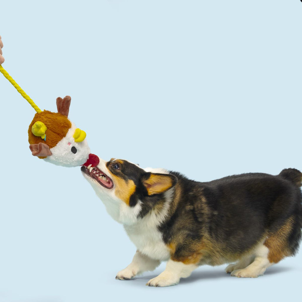 Cock-A-Doodle Dude Plush Tug + Fetch Dog Toy