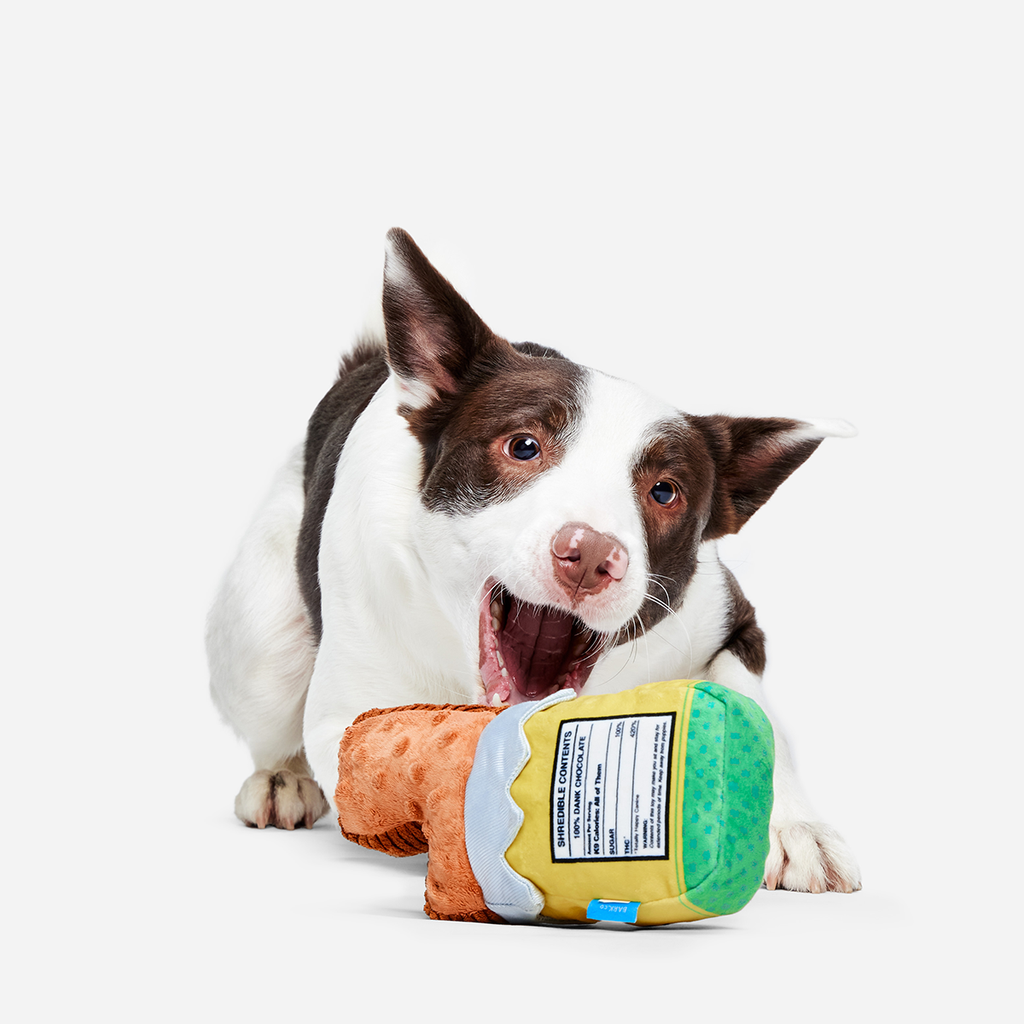 Dank Chocolate Plush Dog Toy