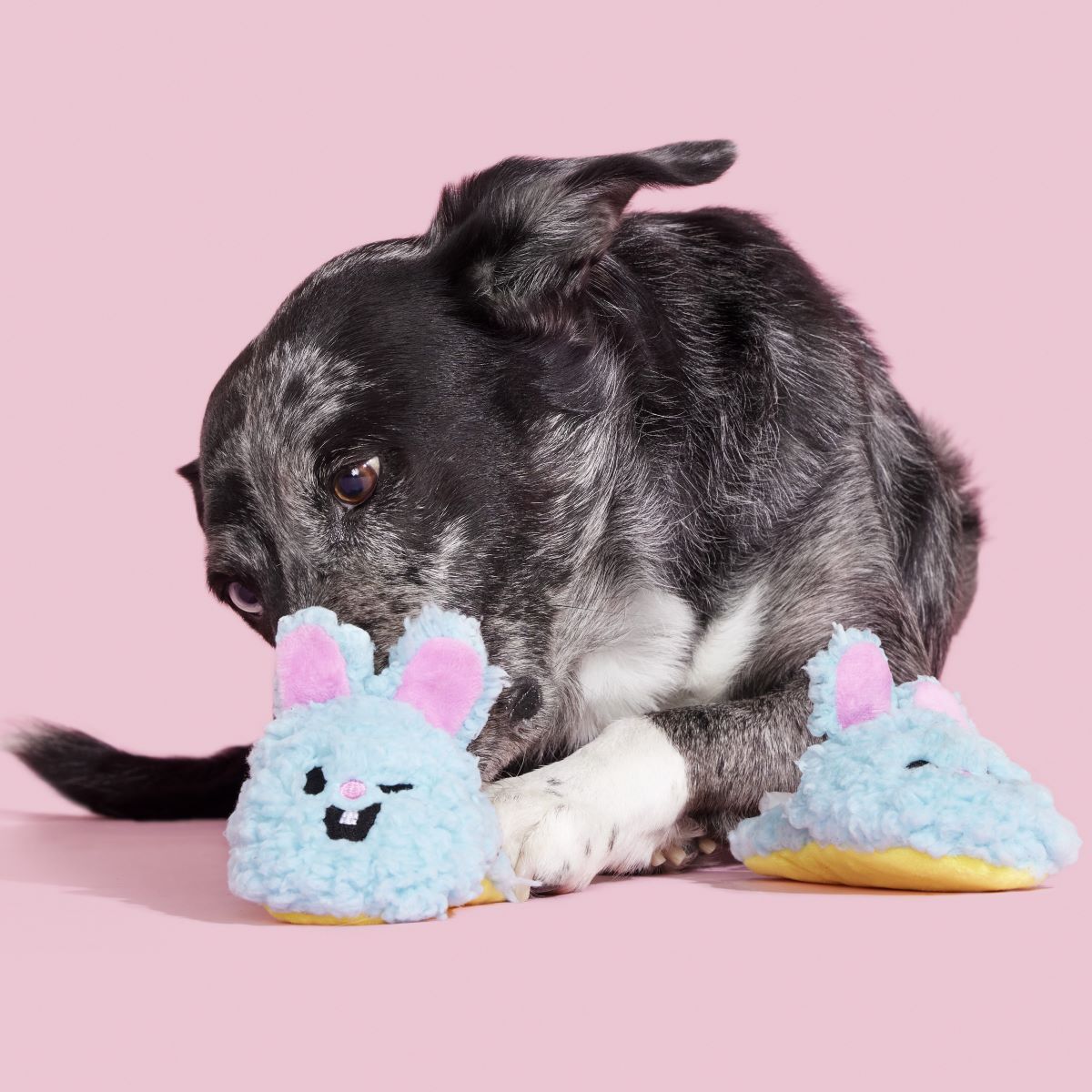 Yippy & Skippy Slippies Plush Multi-Part Dog Toy