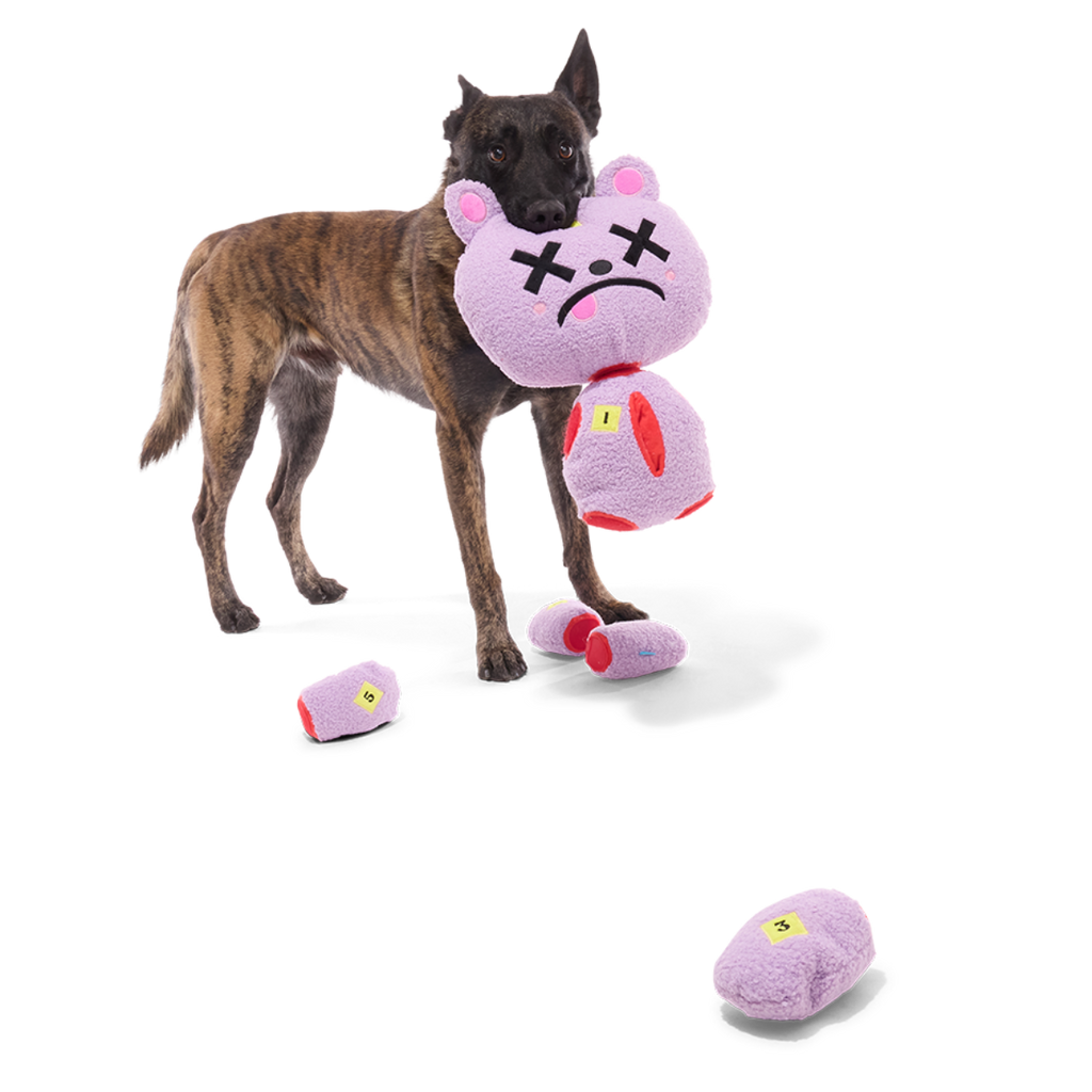 Deady Bear Plush Extra-Large Multi-Part + Enrichment Dog Toy