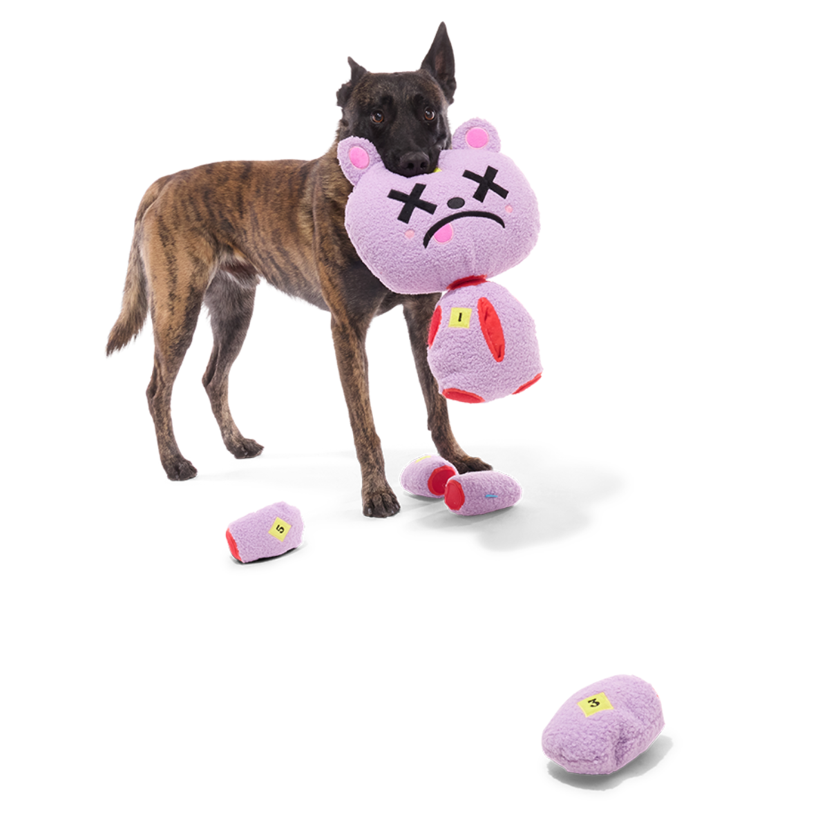 Deady Bear Plush Extra-Large Multi-Part + Enrichment Dog Toy