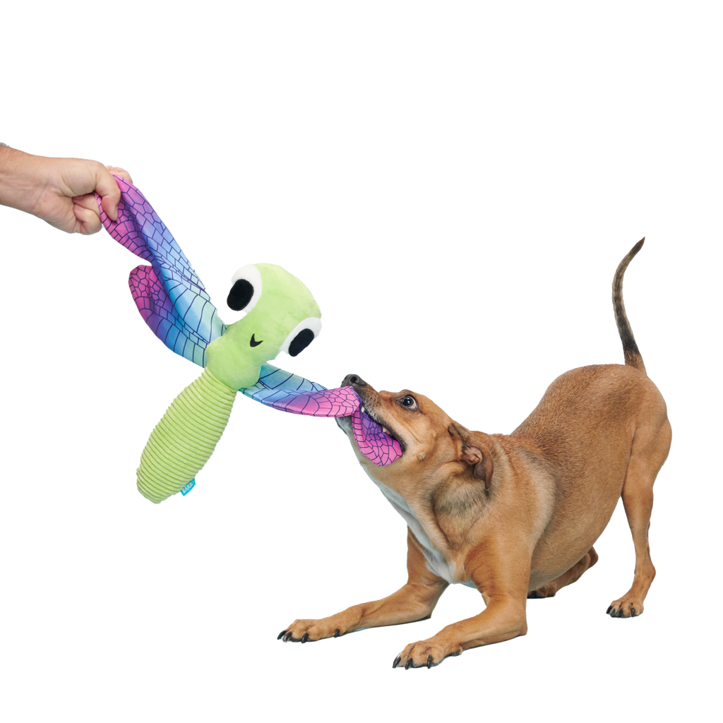 Dragonfly Guy Plush Tug + Extra-Large Dog Toy
