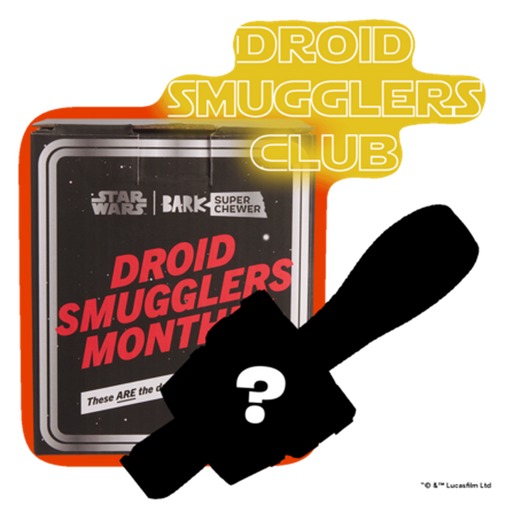 Star Wars™ Droid Smugglers Club, Super Chewer Durable Monthly Dog Toys