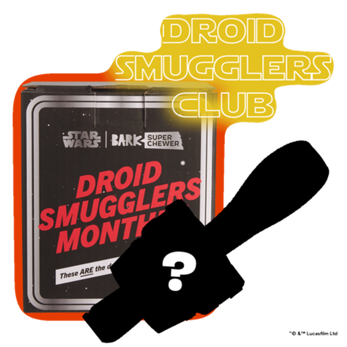 Star Wars™ Droid Smugglers Club, Super Chewer Durable Monthly Dog Toys