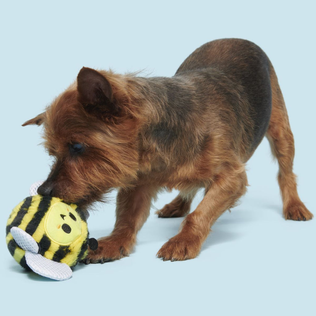 Buzzy Body Super Chewer Durable 2-in-1 Dog Toy