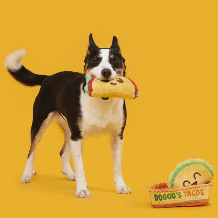 Doggo's Tacos Plush Multi-Part Dog Toy