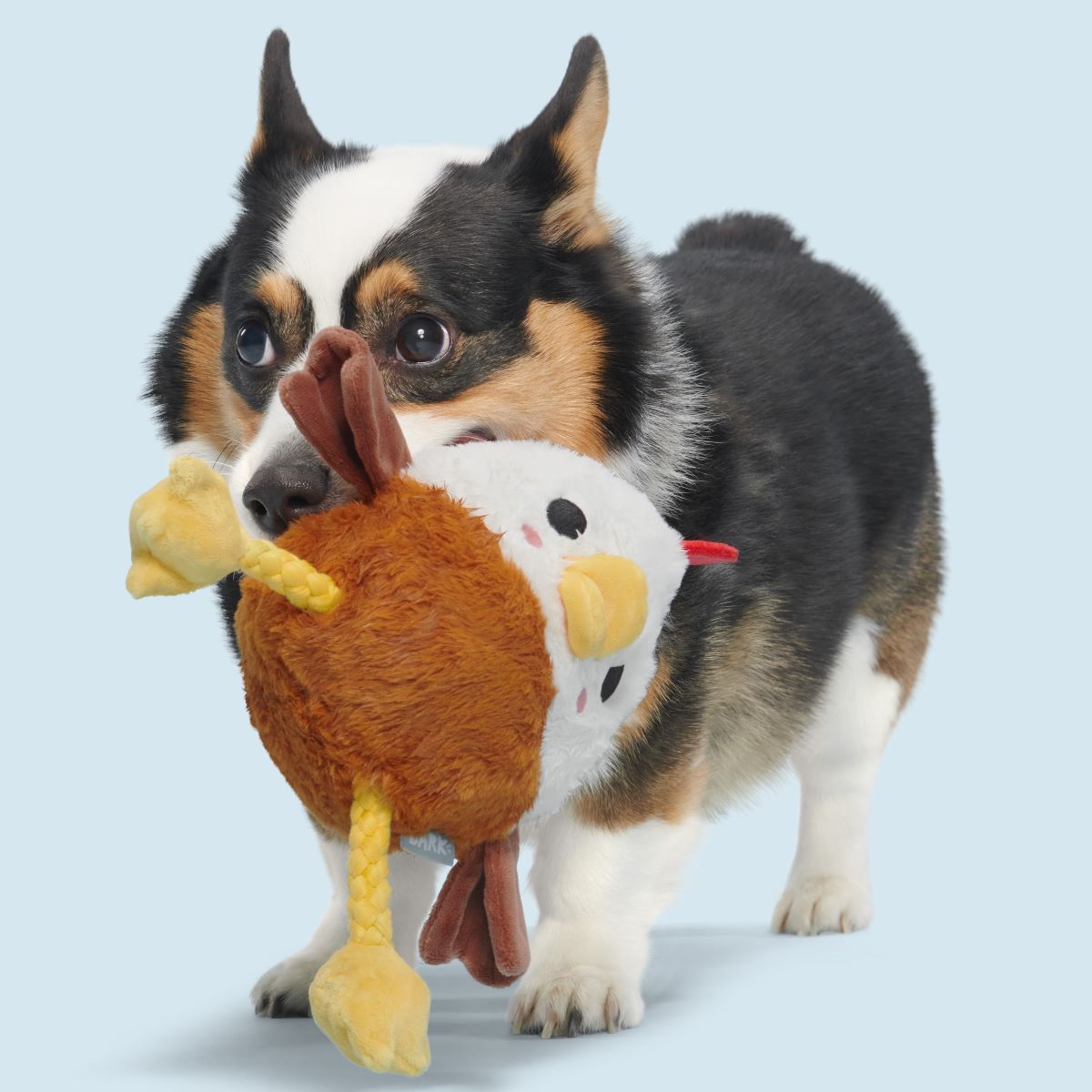 Cock-A-Doodle Dude Plush Tug + Fetch Dog Toy