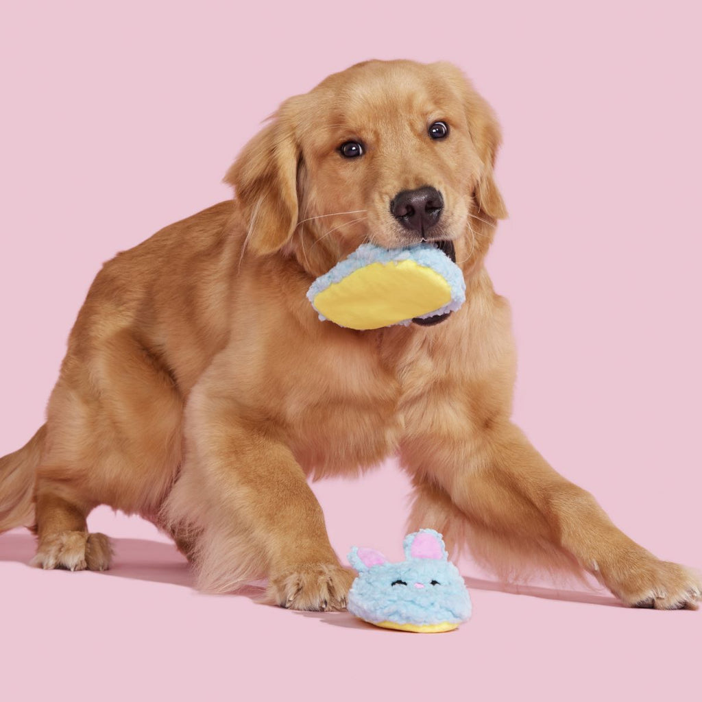 Yippy & Skippy Slippies Plush Multi-Part Dog Toy