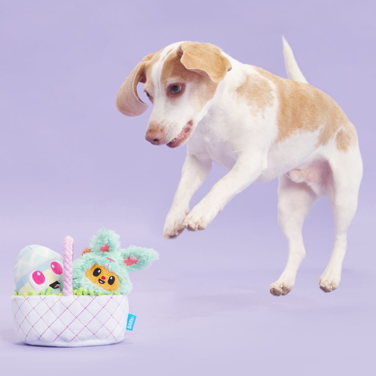 BARK Easter Bundle Plush Tug + Enrichment + Multi-Part Dog Toy