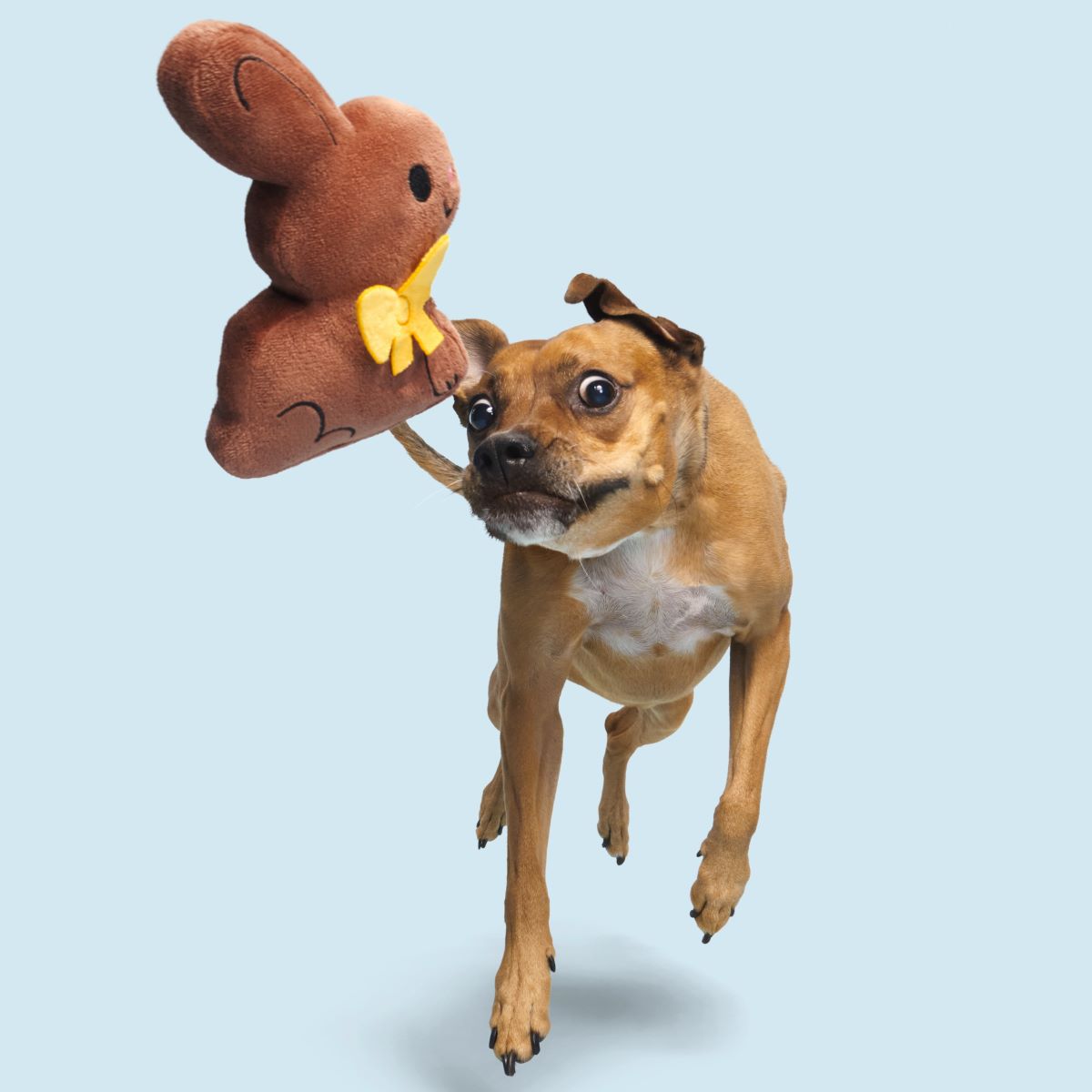 Chocolick Chunky Bunky Plush Tug Dog Toy