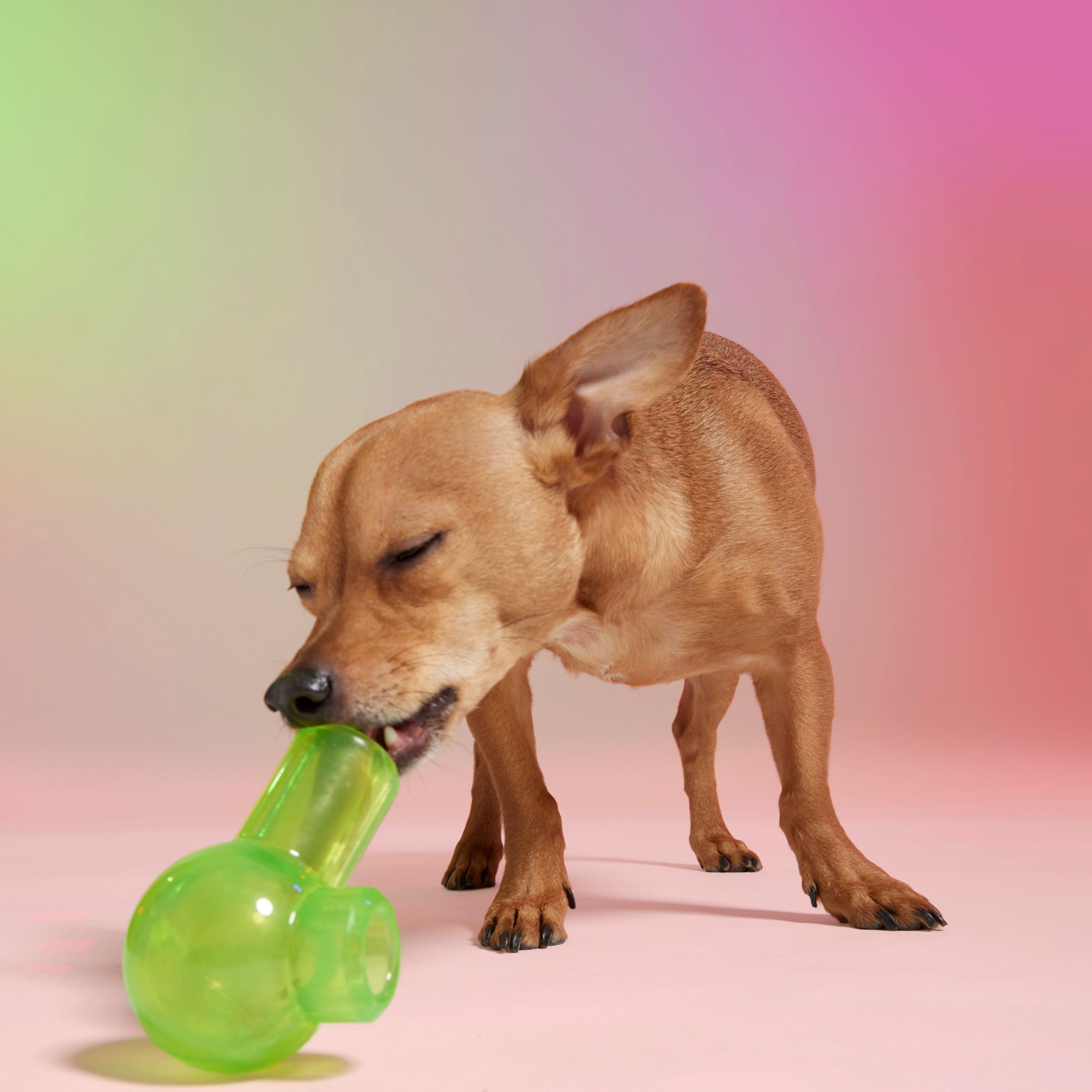 Snack Packed Bong Super Chewer Durable Enrichment Dog Toy