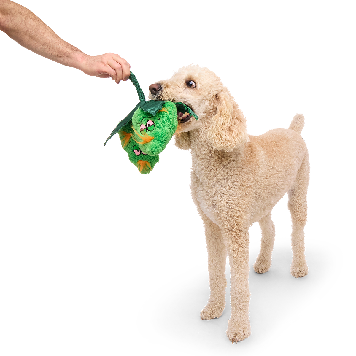Hydropawnic Buds Plush Tug Dog Toy