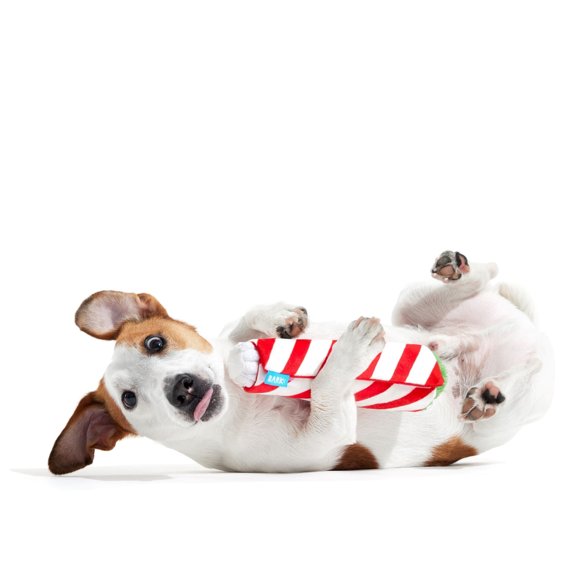 Puffermint Spliff Plush Tug Dog Toy