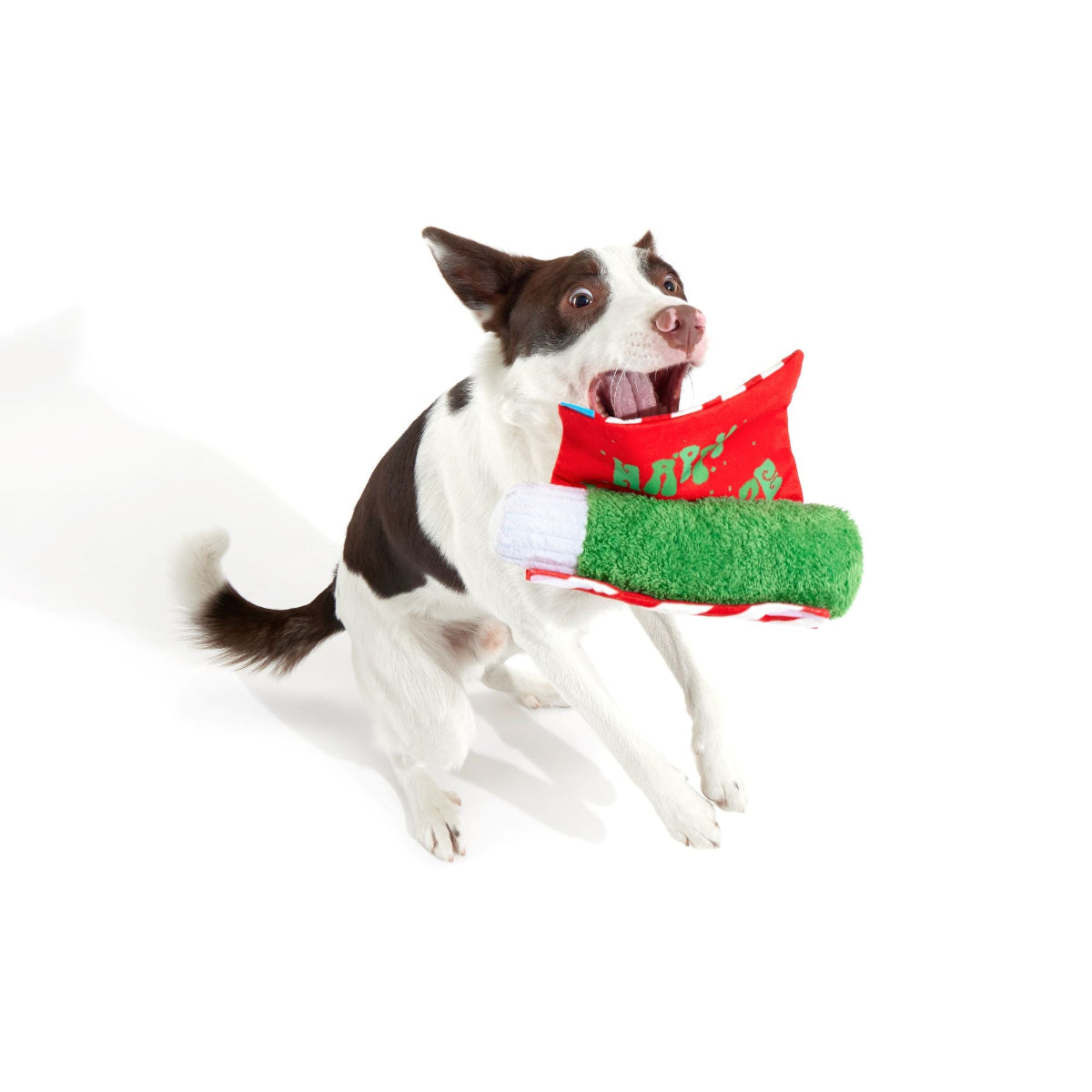 Puffermint Spliff Plush Tug Dog Toy